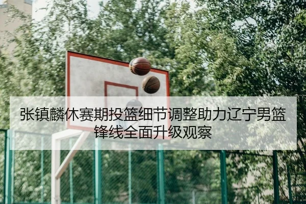 张镇麟休赛期投篮细节调整助力辽宁男篮锋线全面升级观察 - leyu.comapp