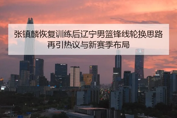 张镇麟恢复训练后辽宁男篮锋线轮换思路再引热议与新赛季布局 - leyu.comapp