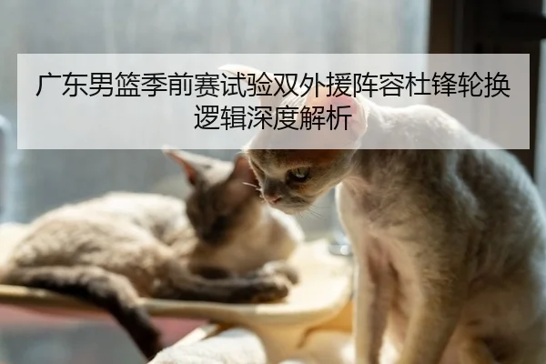 广东男篮季前赛试验双外援阵容杜锋轮换逻辑深度解析 - leyu.comapp